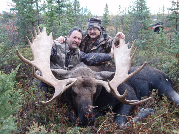 Moose Hunts