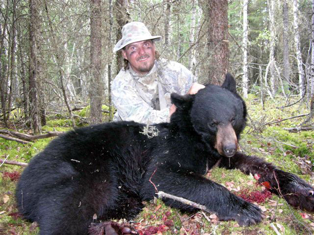 Bear Hunts