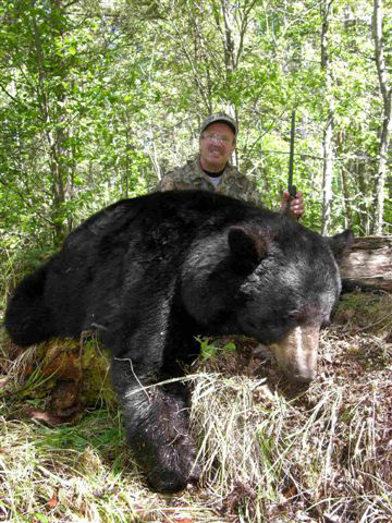 Bear Hunts