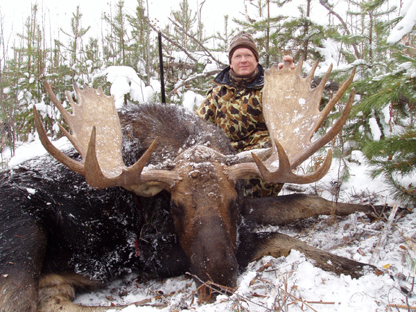 Moose Hunts