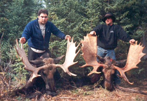 Moose Hunts