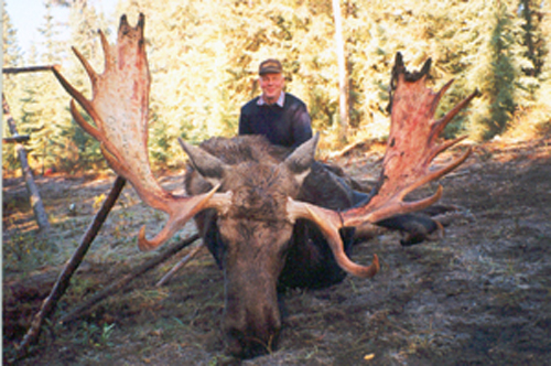 Moose Hunts