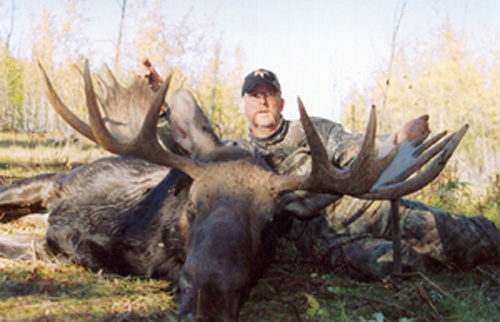 Moose Hunts