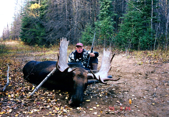 Moose Hunts